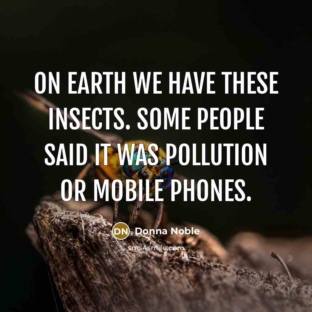 “On Earth we have these insects. Some people said it was pollution or mobile phones.” quote by Donna Noble