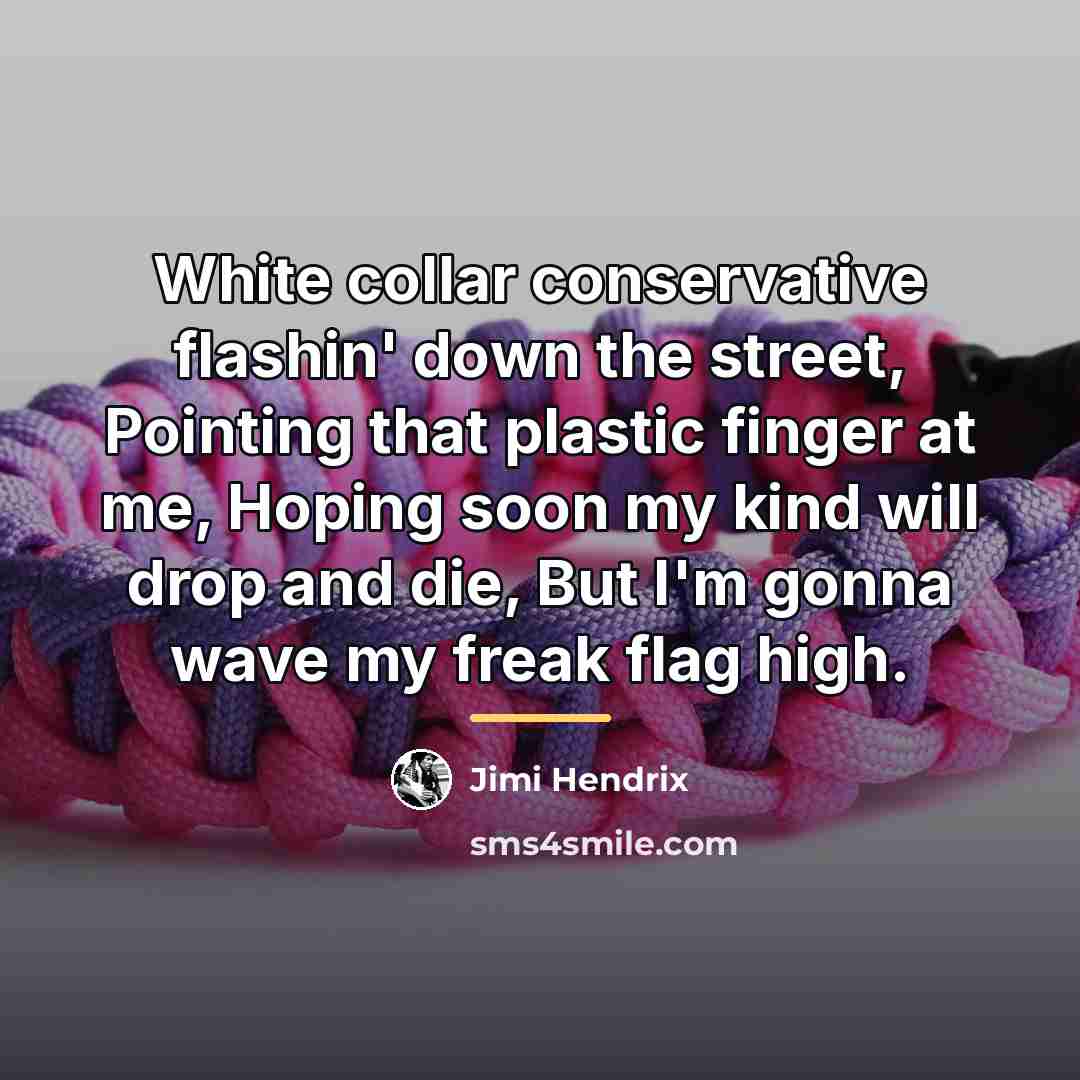“White collar conservative flashin' down the street, Pointing that plastic…” quote by Jimi Hendrix