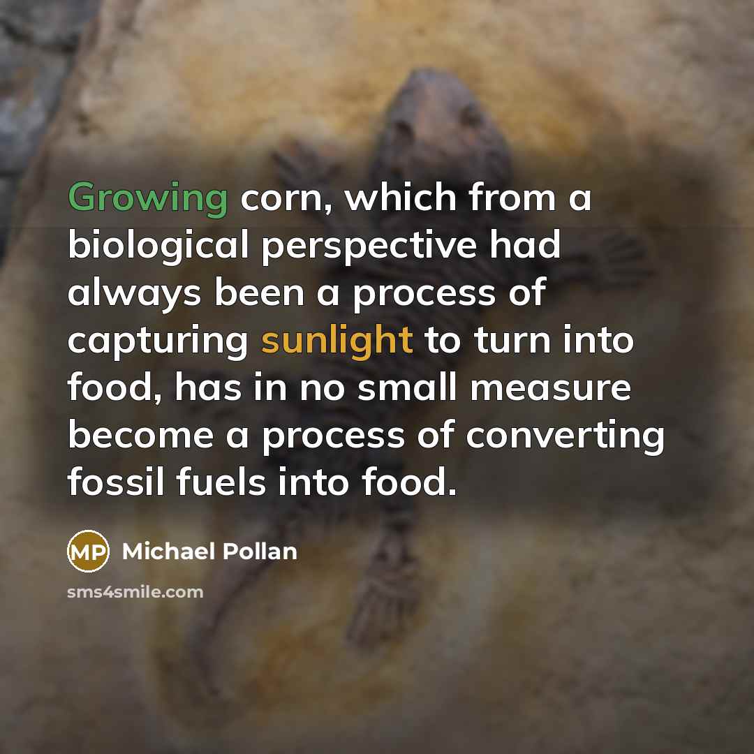 “Growing corn, which from a biological perspective had always been a process of capturing sunlight to turn into food, has in no small measure become a process of converting fossil fuels into food.” quote by Michael Pollan
