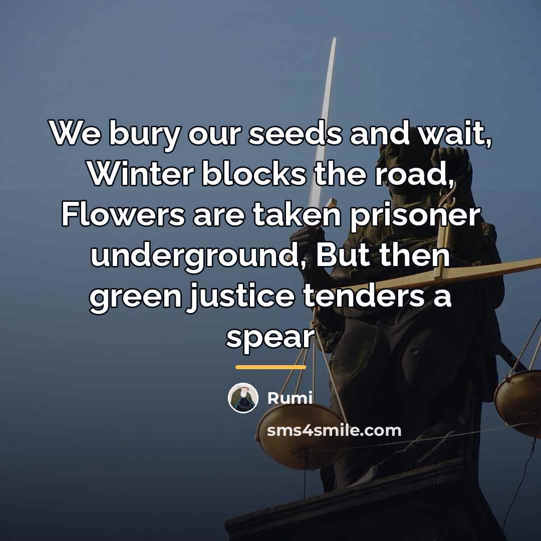 “We bury our seeds and wait, Winter blocks the road,…” quote by Rumi