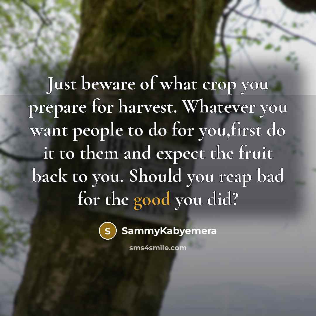 “Just beware of what crop you prepare for harvest. Whatever…” quote by SammyKabyemera