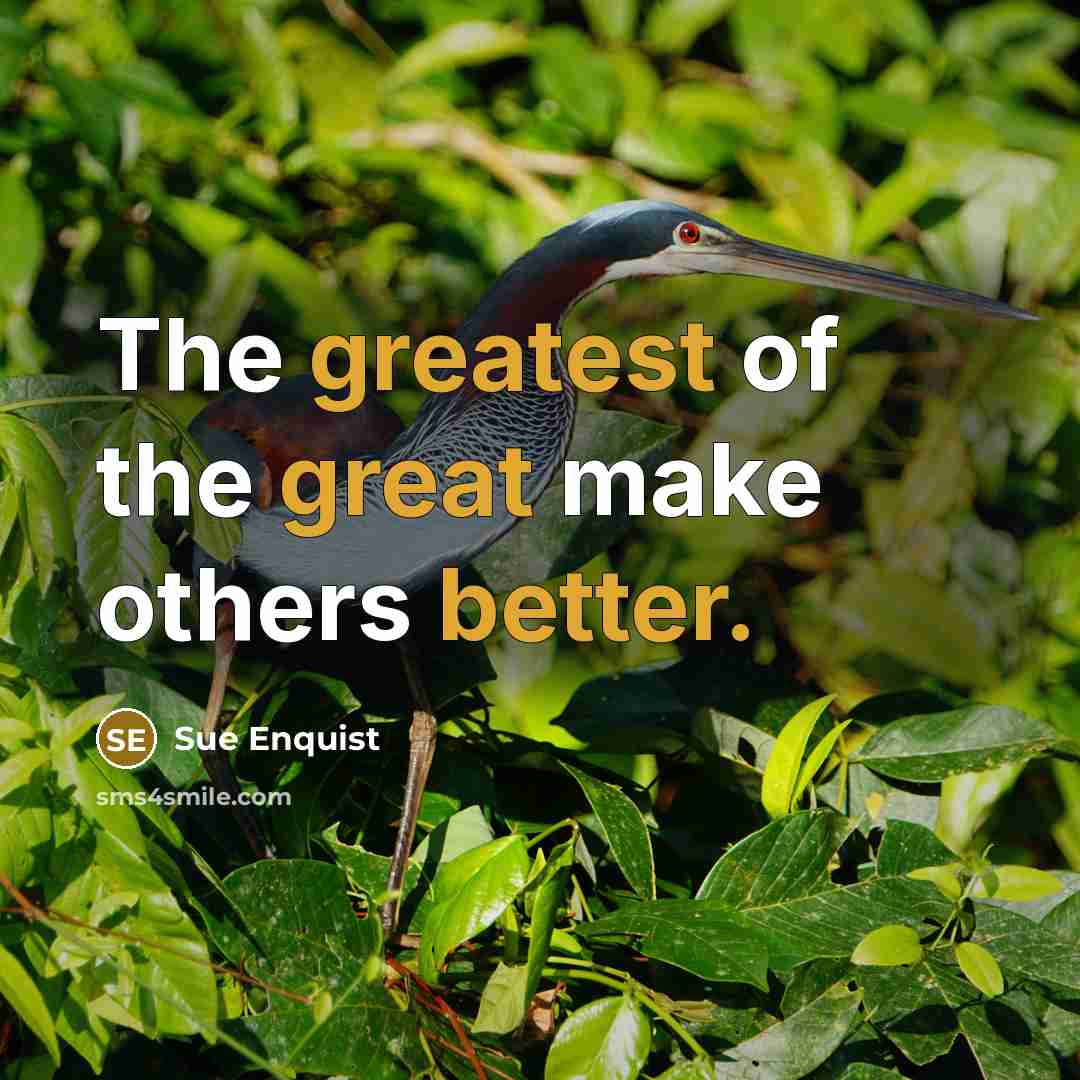 “The greatest of the great make others better.” quote by Sue Enquist