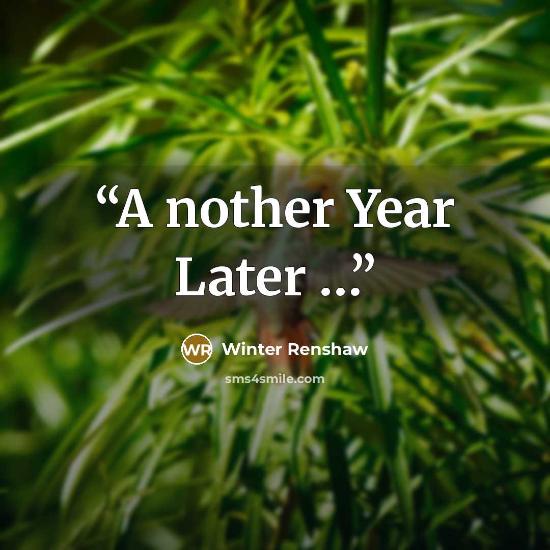 “A nother Year Later …” quote by Winter Renshaw