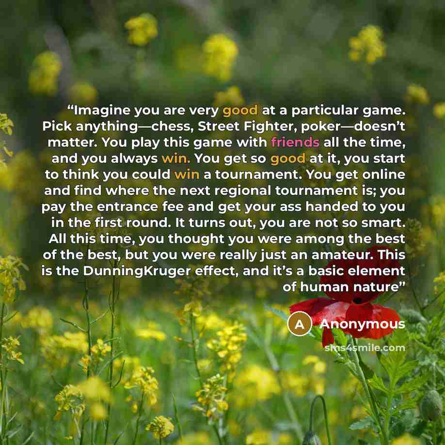 “Imagine you are very good at a particular game. Pick anything—chess, Street Fighter, poker—doesn’t matter. You play this game with friends all the time, and you always win. You get so good at it, you start to think you could win a tournament. You get online and find where the next regional…” quote by Anonymous