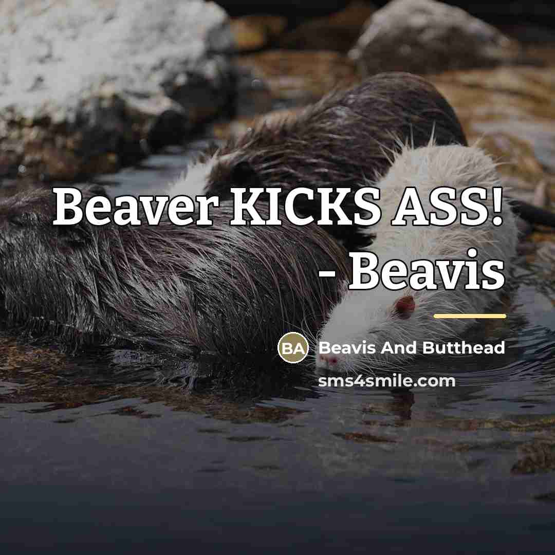 “Beaver KICKS ASS! - Beavis…” quote by Beavis And Butthead