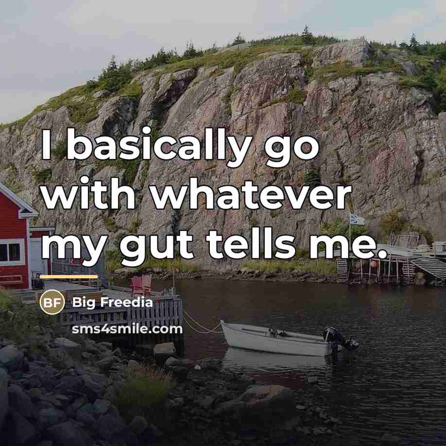 “I basically go with whatever my gut tells me.…” quote by Big Freedia