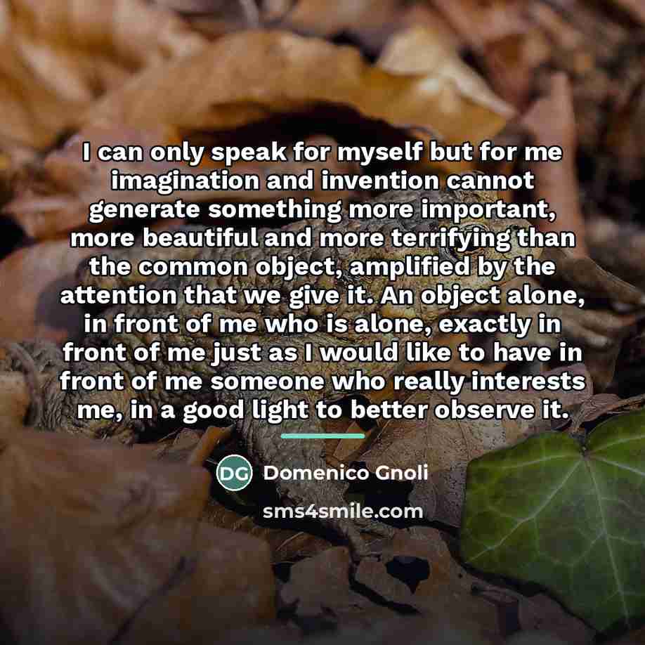 “I can only speak for myself but for me imagination…” quote by Domenico Gnoli