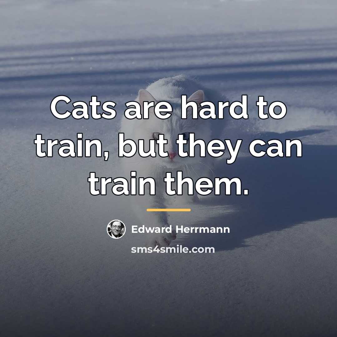 “Cats are hard to train, but they can train them.…” quote by Edward Herrmann