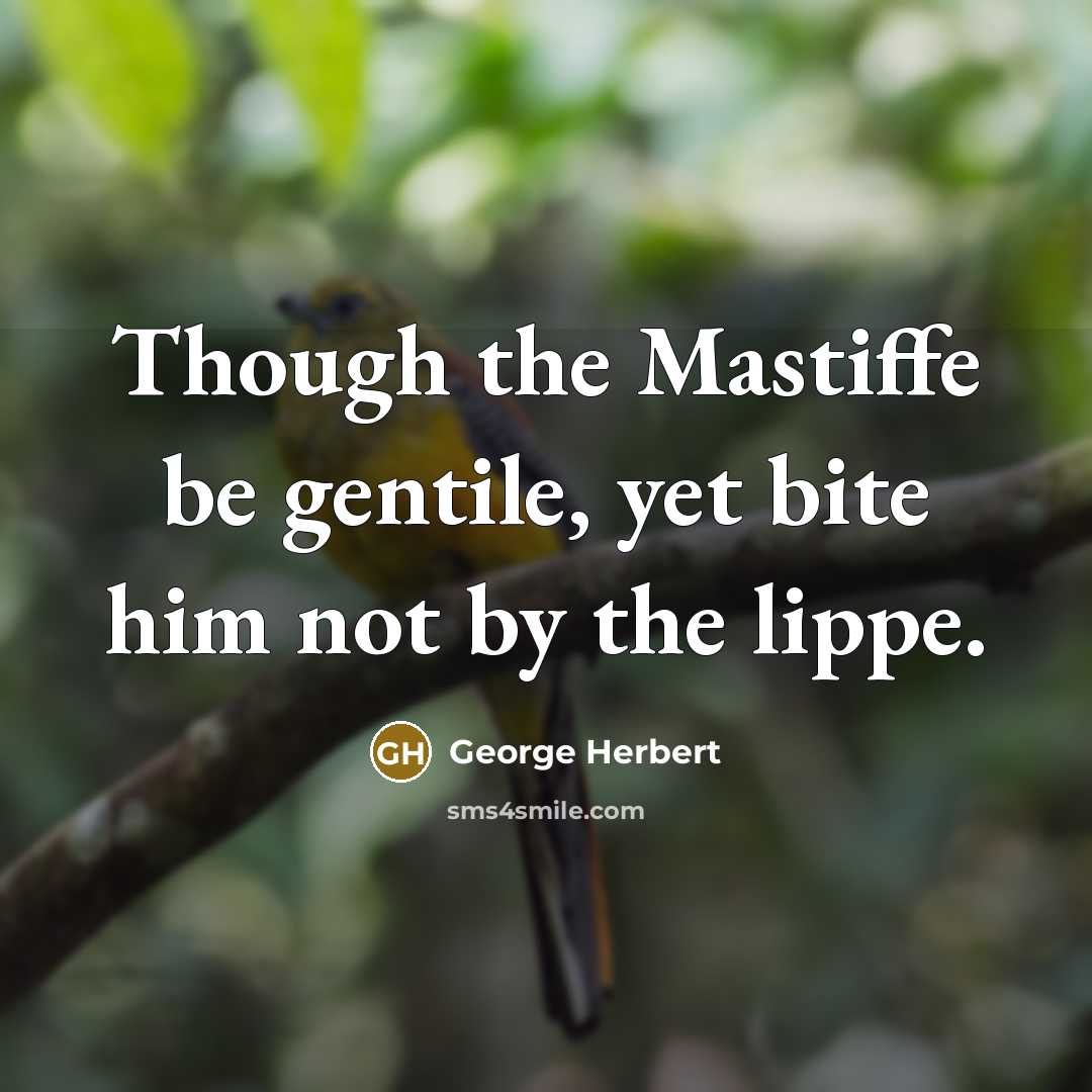 “Though the Mastiffe be gentile, yet bite him not by the lippe.” quote by George Herbert