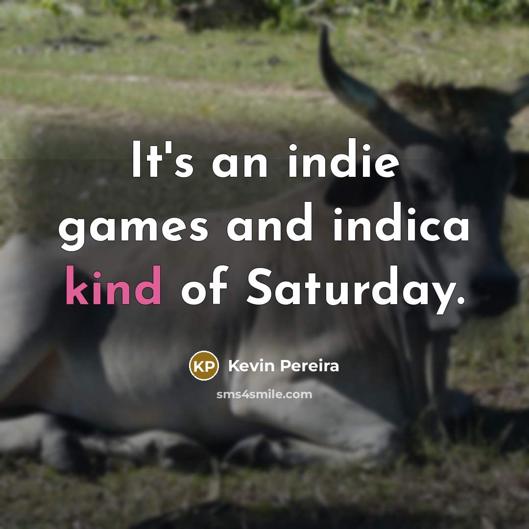 “It's an indie games and indica kind of Saturday.” quote by Kevin Pereira