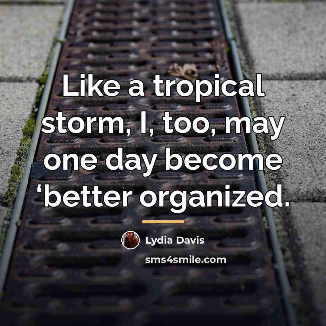 “Like a tropical storm, I, too, may one day become…” quote by Lydia Davis