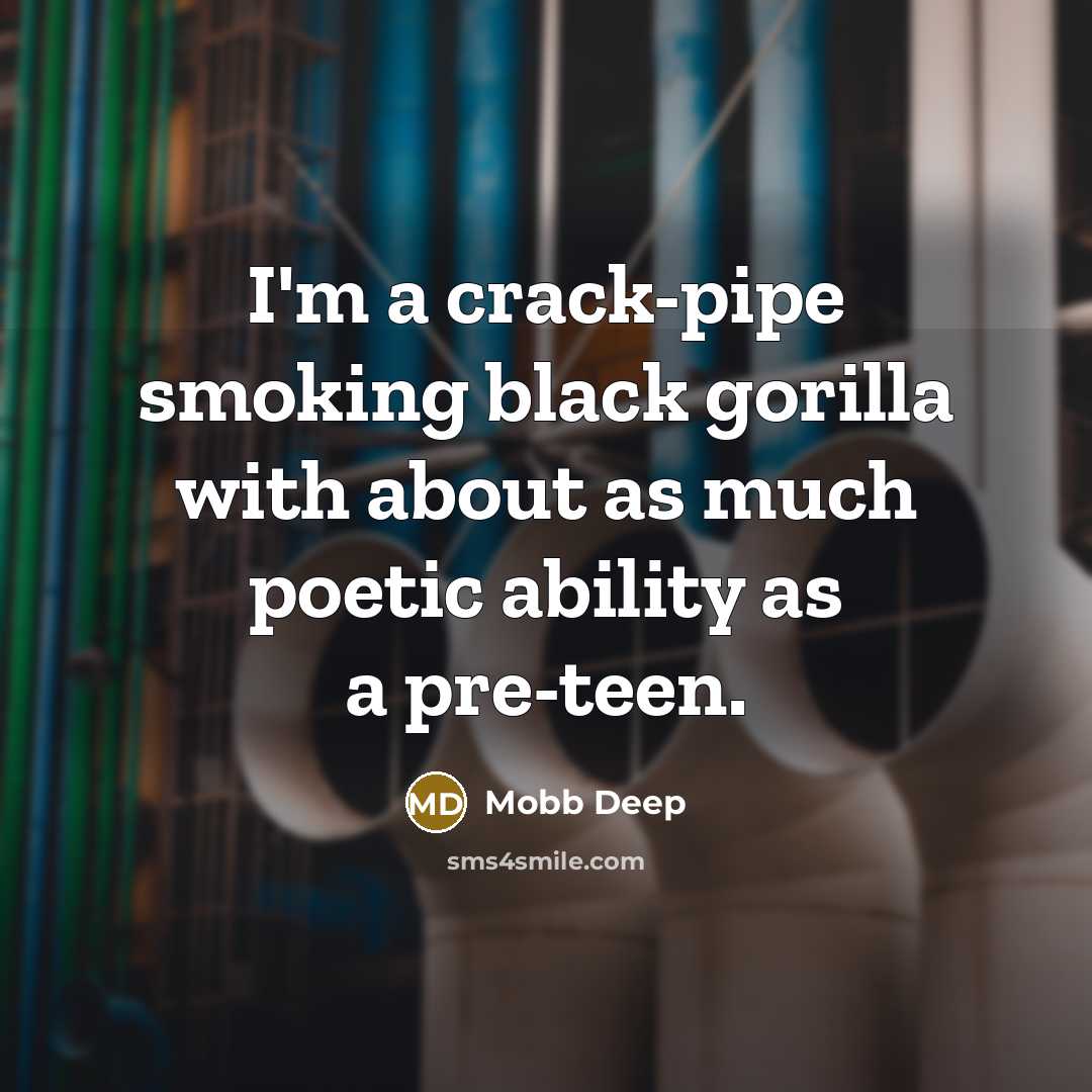 “I'm a crack-pipe smoking black gorilla with about as much poetic ability as a pre-teen.” quote by Mobb Deep