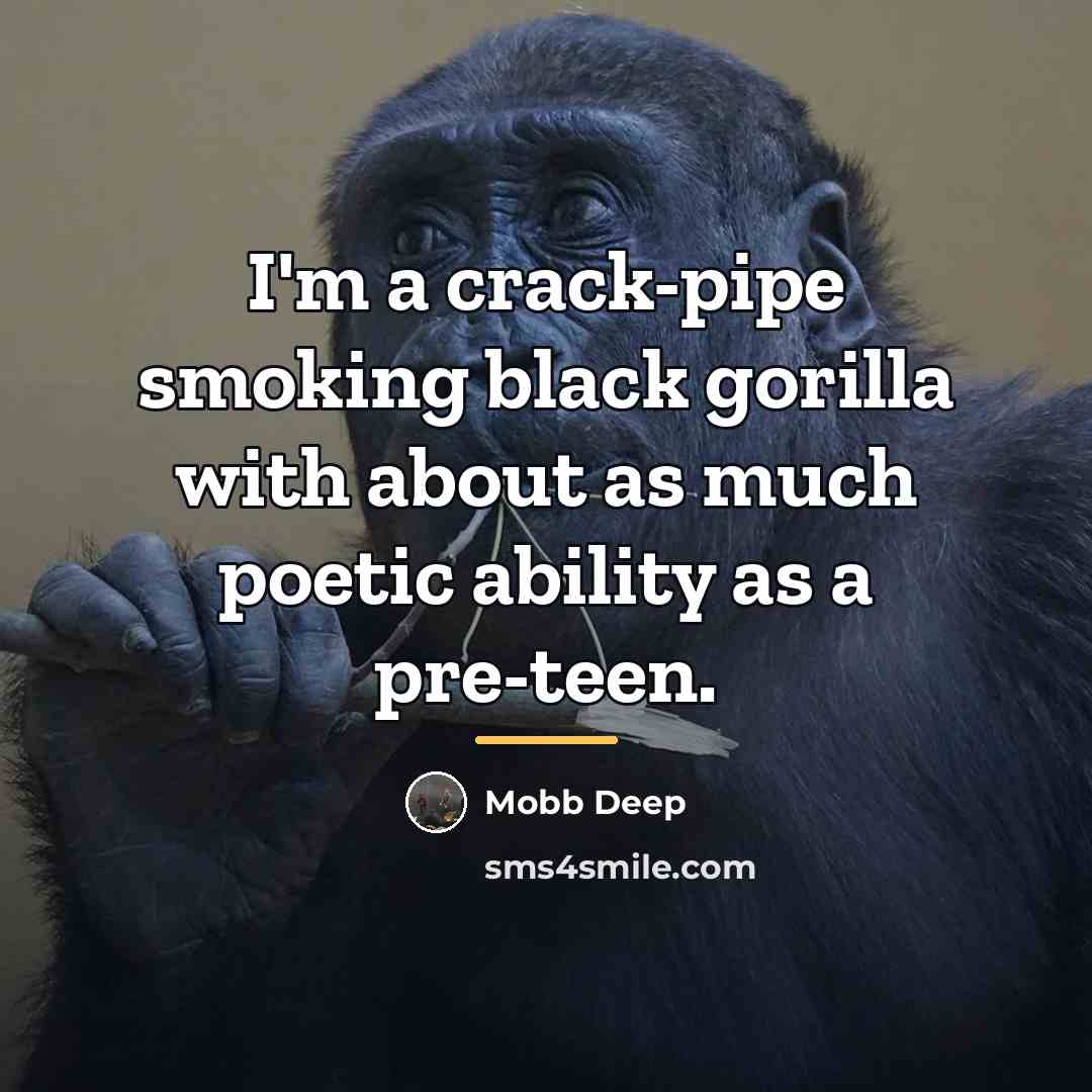 “I'm a crack-pipe smoking black gorilla with about as much…” quote by Mobb Deep