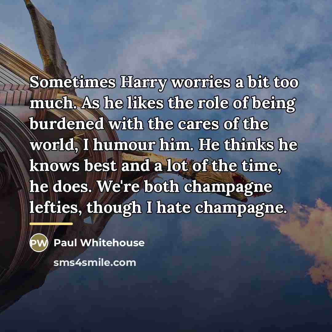 “Sometimes Harry worries a bit too much. As he likes…” quote by Paul Whitehouse