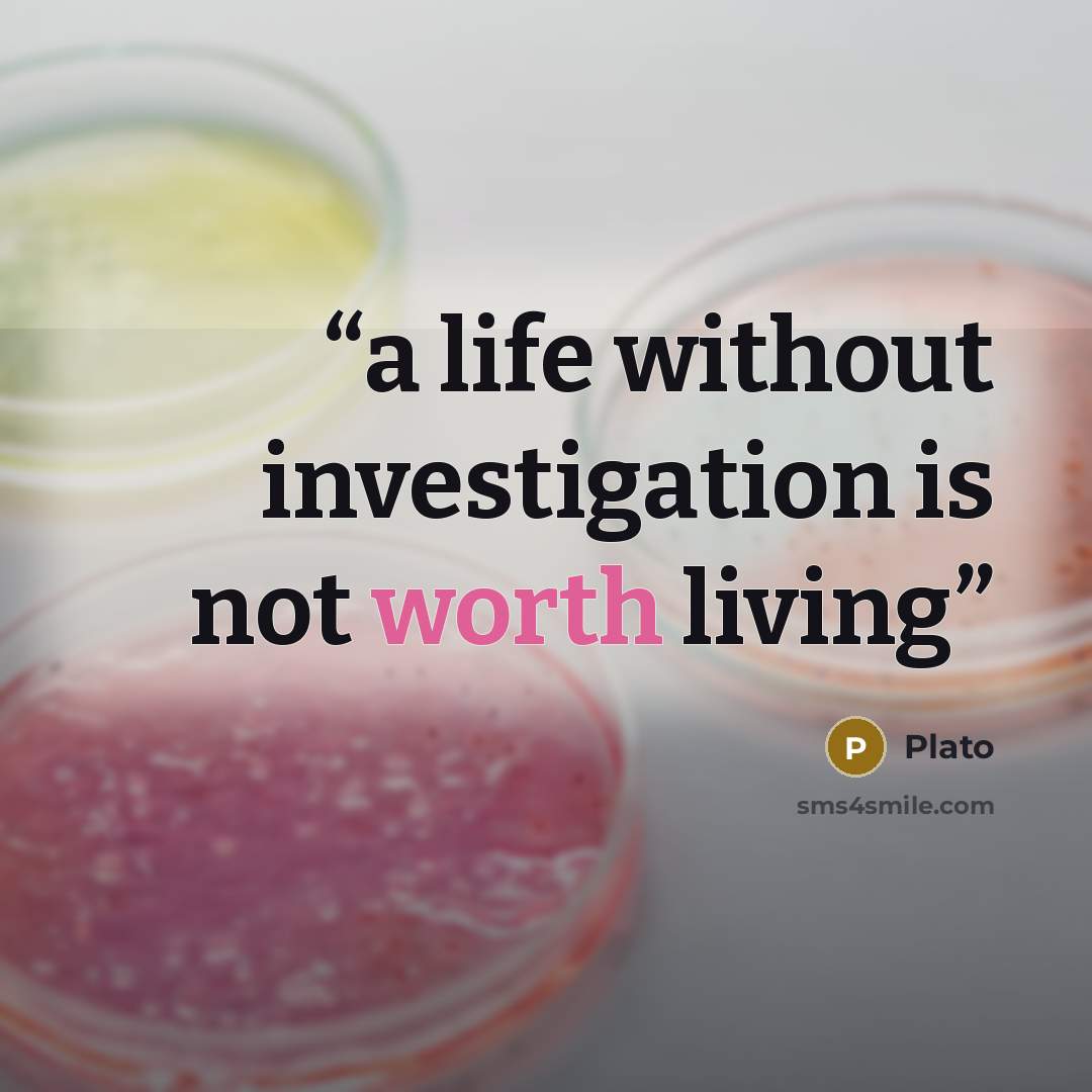 “a life without investigation is not worth living” quote by Plato