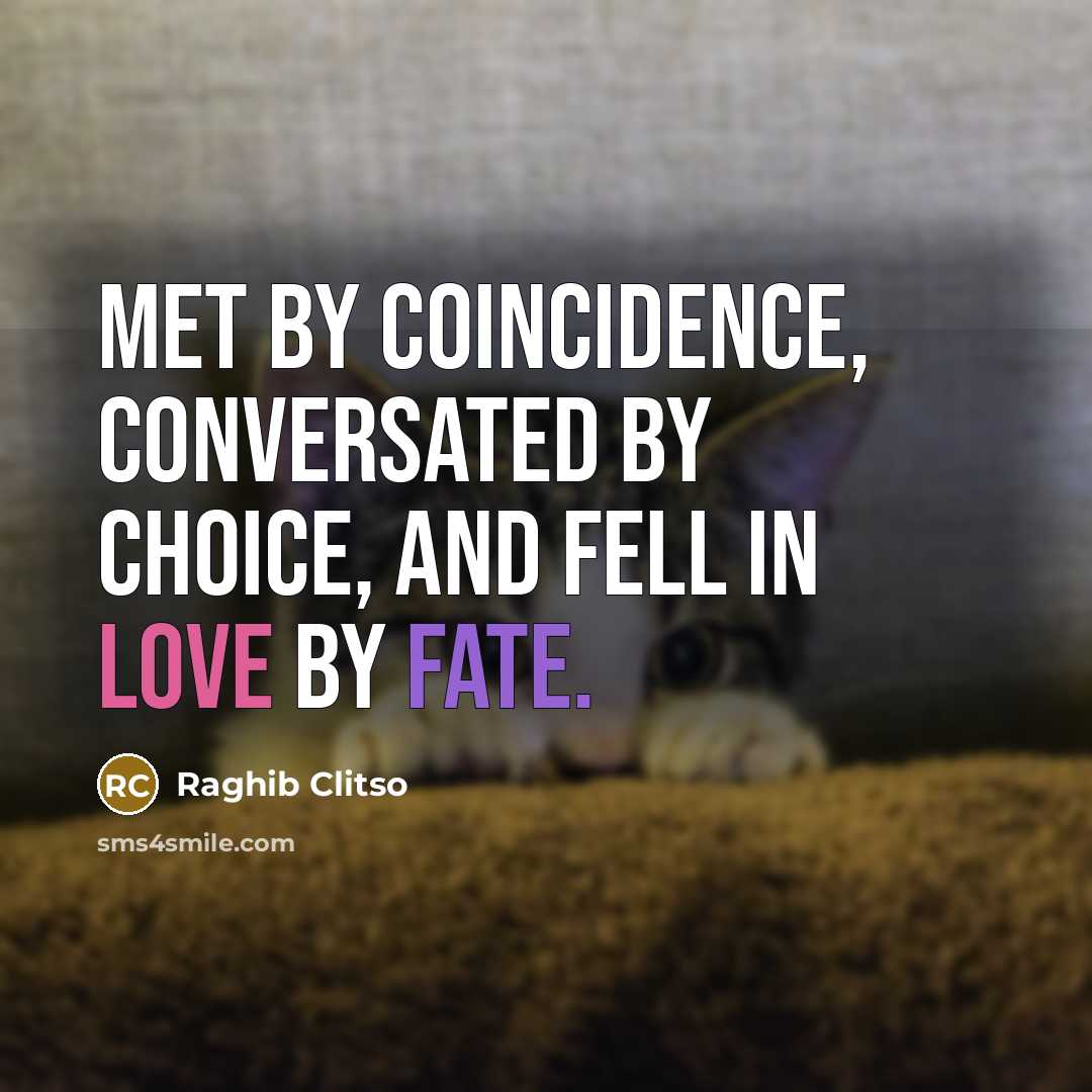 “Met by coincidence, conversated by choice, and fell in love by fate.” quote by Raghib Clitso