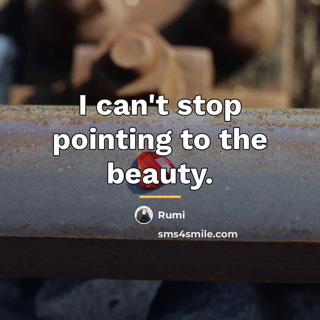 “I can't stop pointing to the beauty.…” quote by Rumi