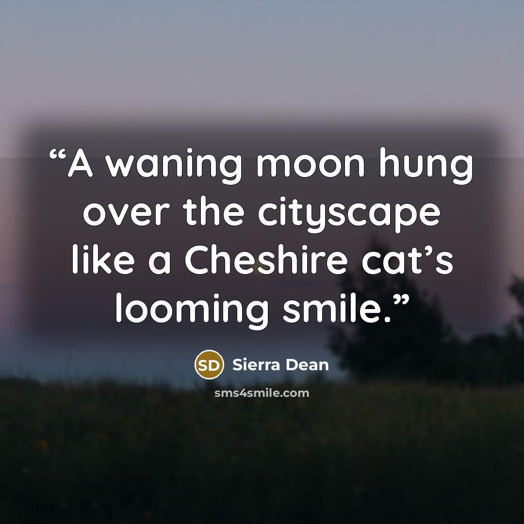 “A waning moon hung over the cityscape like a Cheshire cat’s looming smile.” quote by Sierra Dean