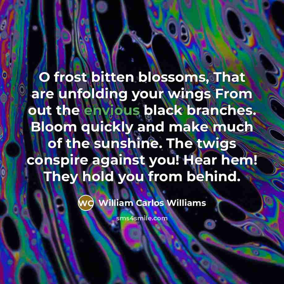 “O frost bitten blossoms, That are unfolding your wings From…” quote by William Carlos Williams