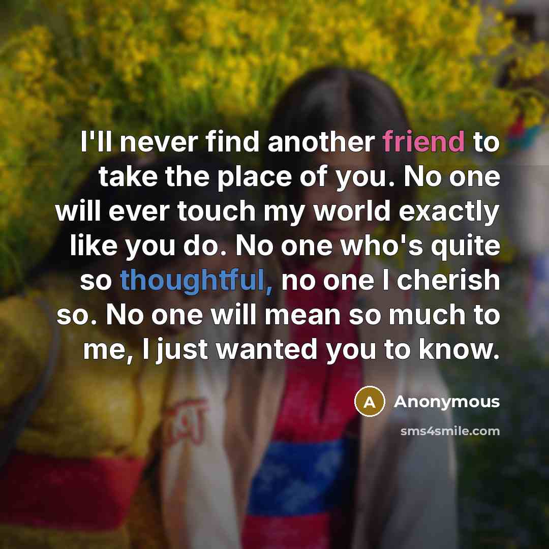 “I'll never find another friend to take the place of…” quote by Anonymous