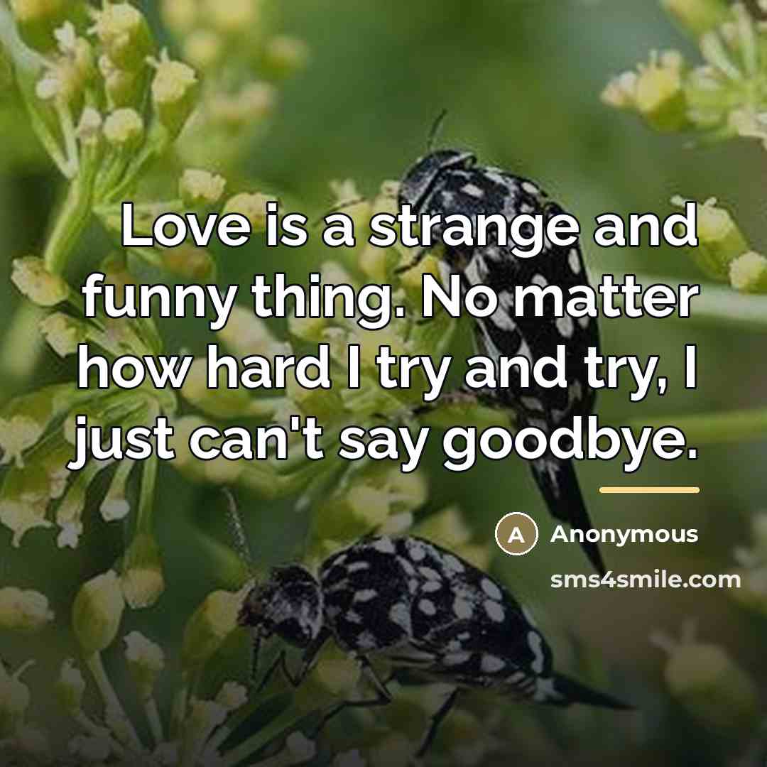 “Love is a strange and funny thing. No matter how…” quote by Anonymous