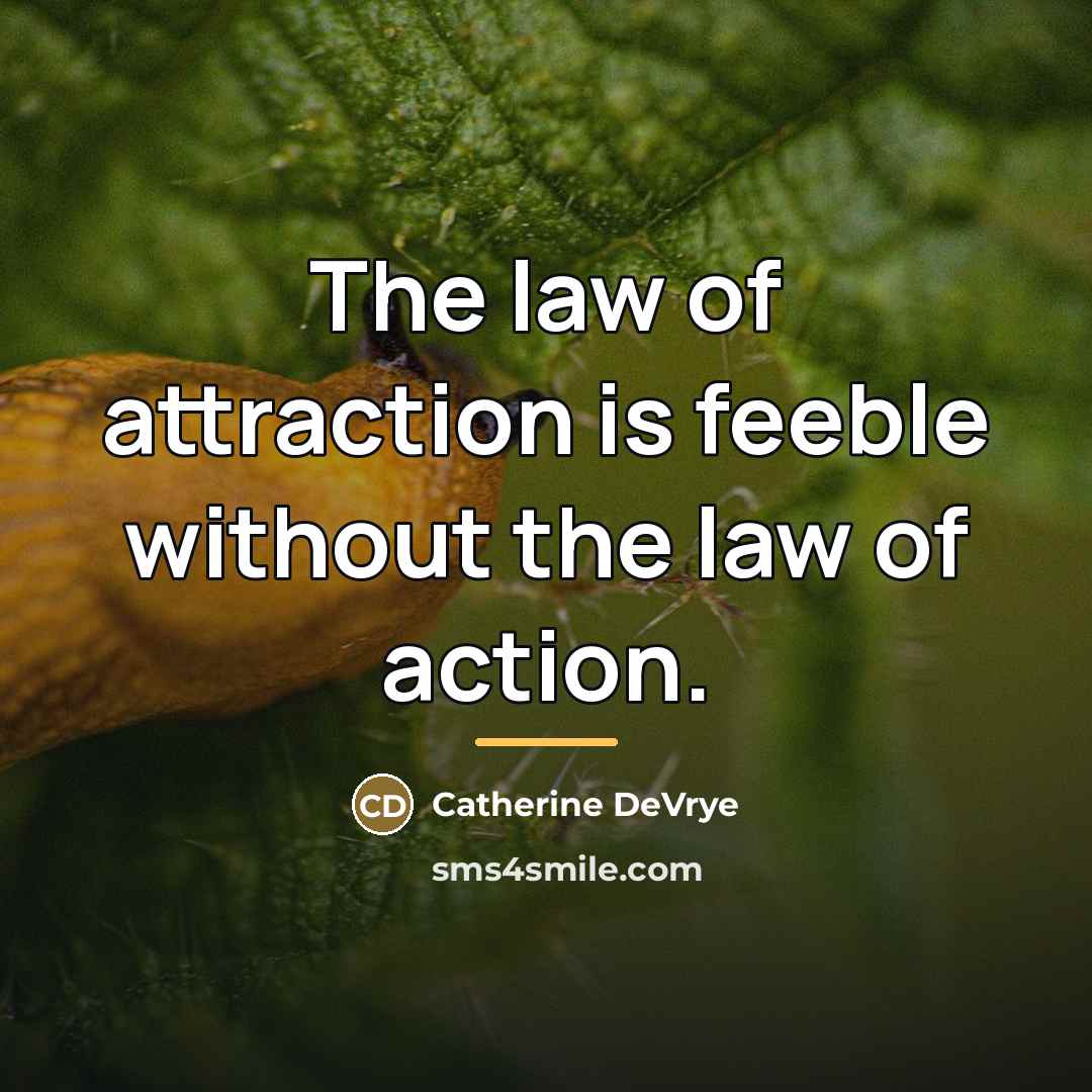 “The law of attraction is feeble without the law of…” quote by Catherine DeVrye