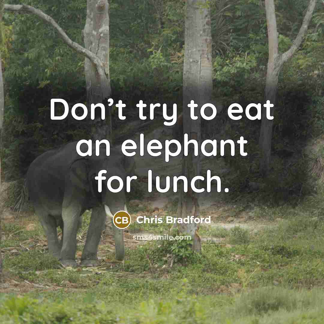 “Don’t try to eat an elephant for lunch.” quote by Chris Bradford