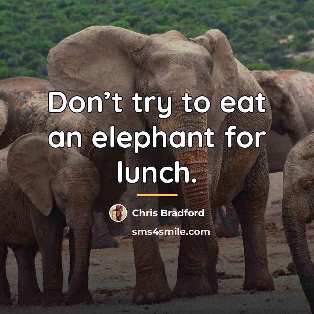 “Don’t try to eat an elephant for lunch.…” quote by Chris Bradford