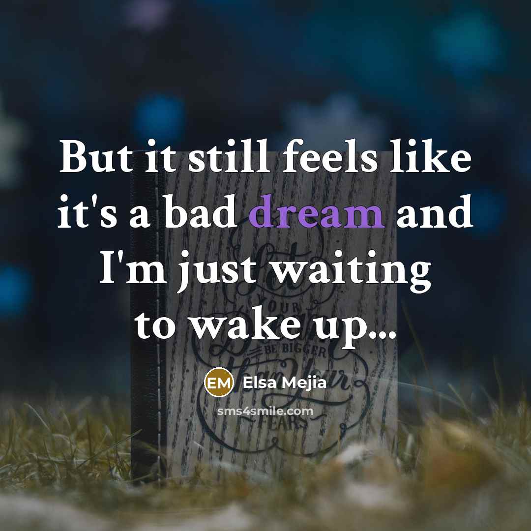 “But it still feels like it's a bad dream and I'm just waiting to wake up...” quote by Elsa Mejia