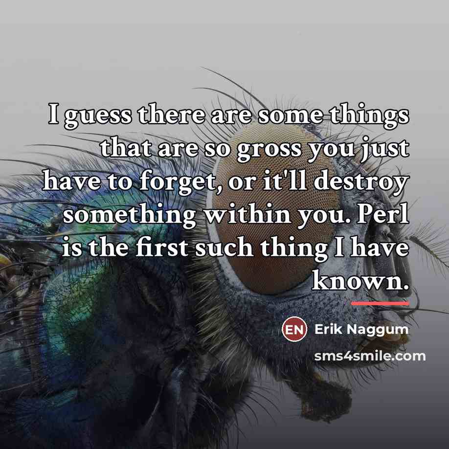 “I guess there are some things that are so gross…” quote by Erik Naggum