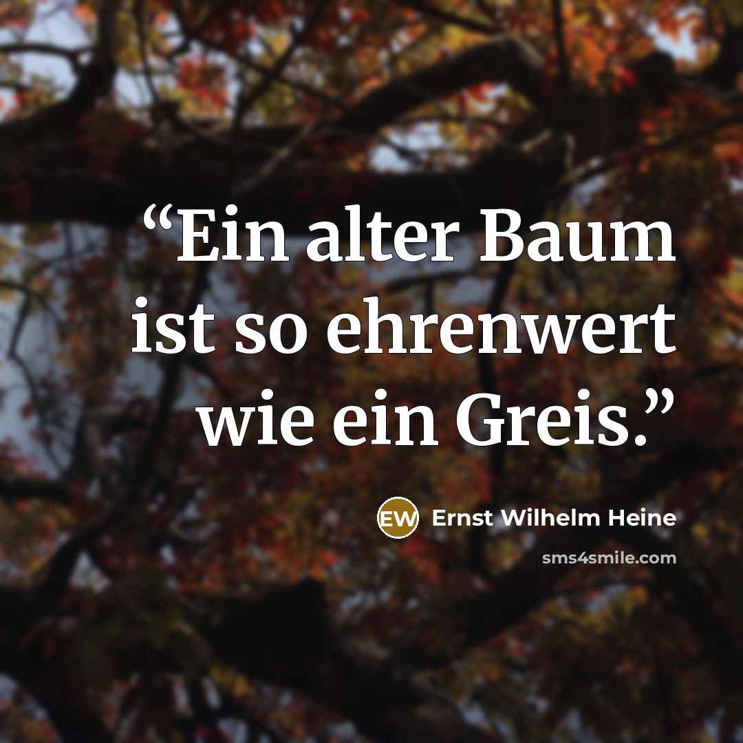 “Ein alter Baum ist so ehrenwert wie ein Greis.” quote by Ernst Wilhelm Heine