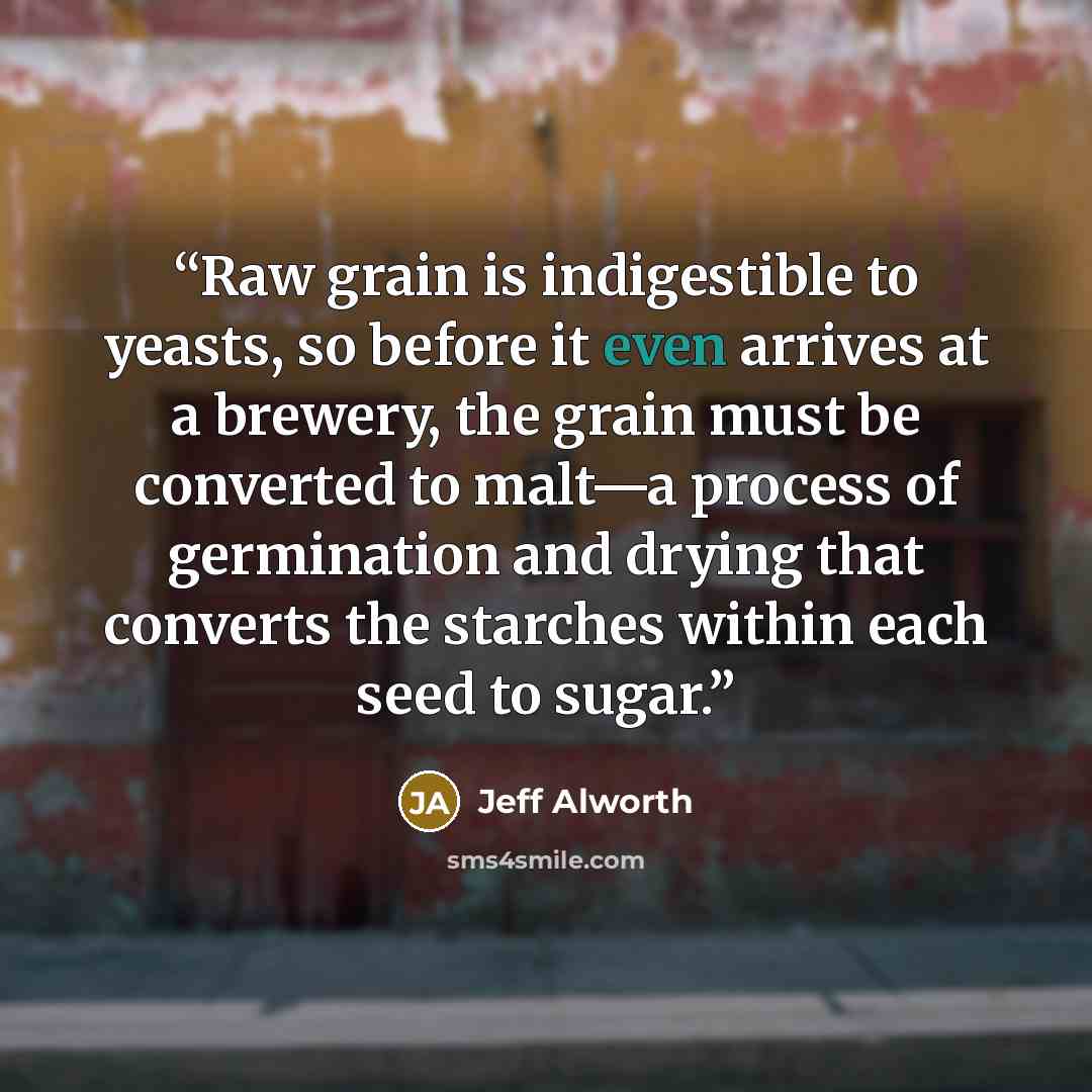 “Raw grain is indigestible to yeasts, so before it even arrives at a brewery, the grain must be converted to malt—a process of germination and drying that converts the starches within each seed to sugar.” quote by Jeff Alworth