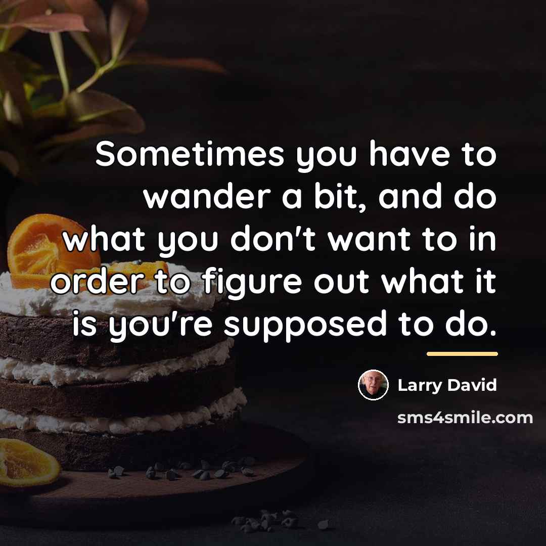 “Sometimes you have to wander a bit, and do what…” quote by Larry David