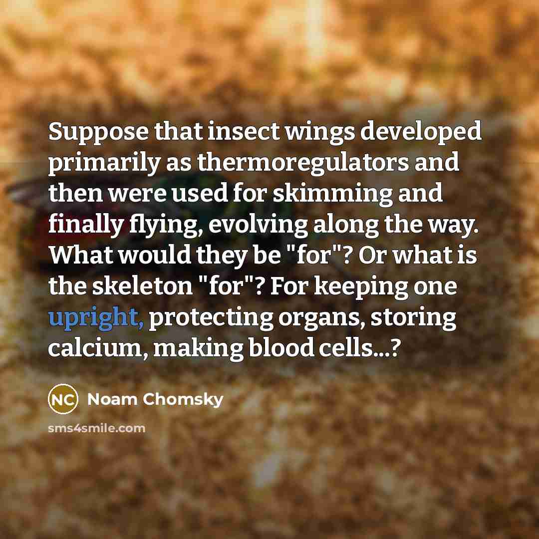 “Suppose that insect wings developed primarily as thermoregulators and then…” quote by Noam Chomsky