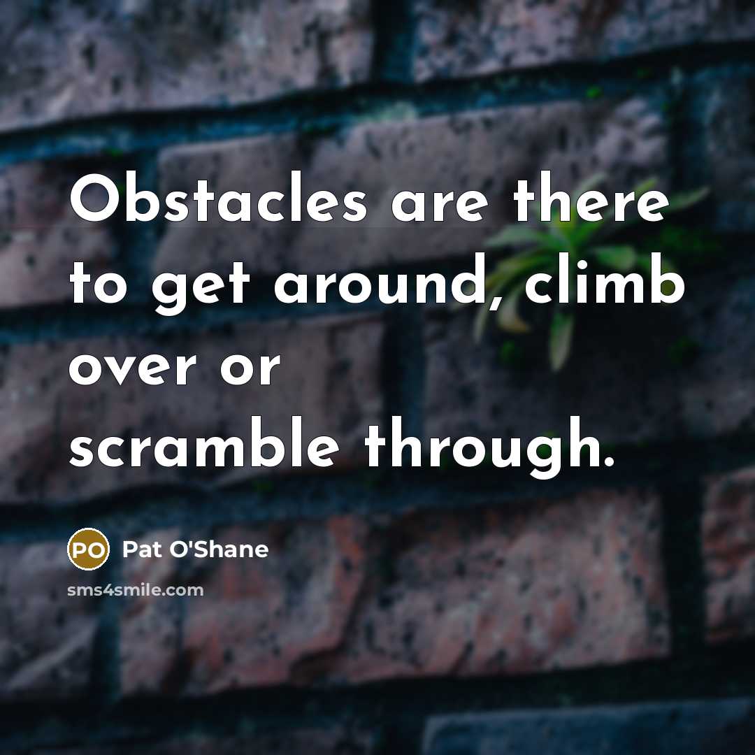 “Obstacles are there to get around, climb over or scramble…” quote by Pat O'Shane