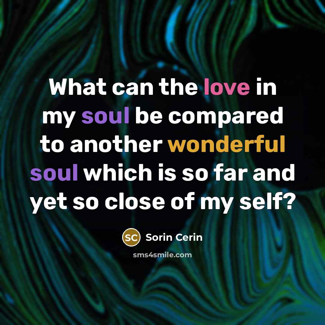 “What can the love in my soul be compared to…” quote by Sorin Cerin