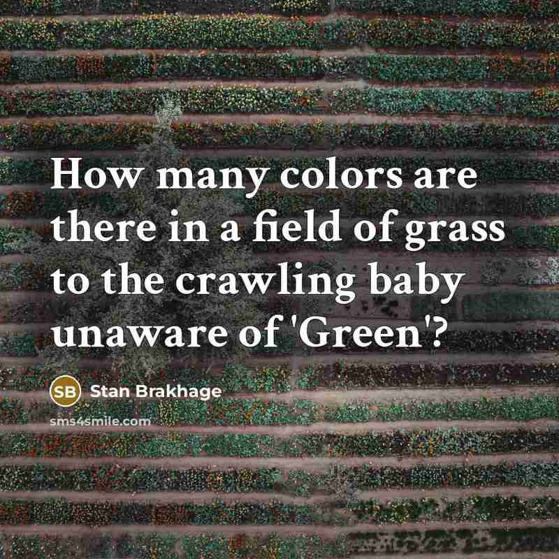 “How many colors are there in a field of grass…” quote by Stan Brakhage