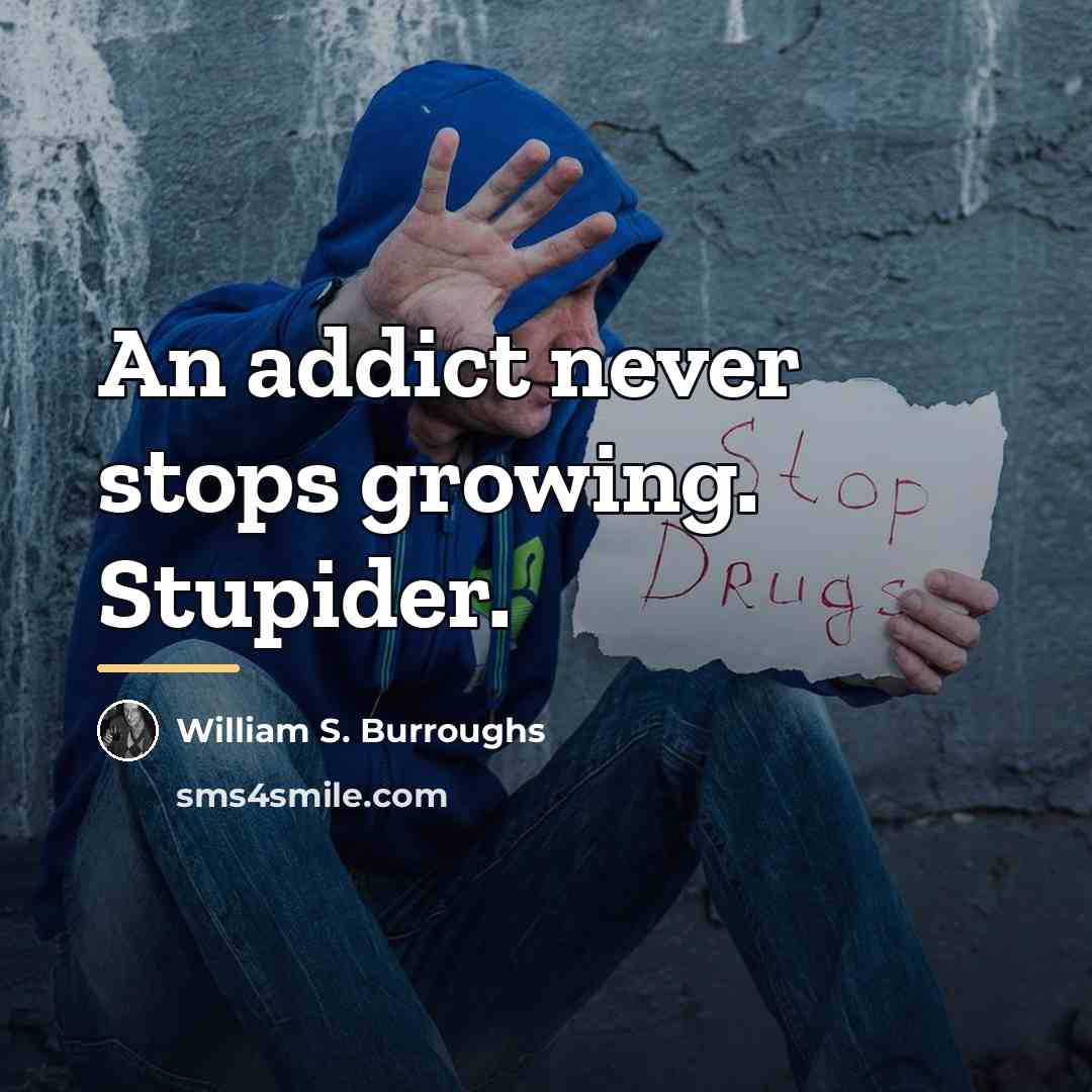 “An addict never stops growing. Stupider.…” quote by William S. Burroughs