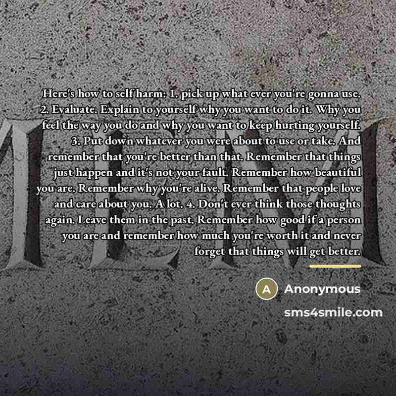 “Here's how to self harm: 1. pick up what ever…” quote by Anonymous