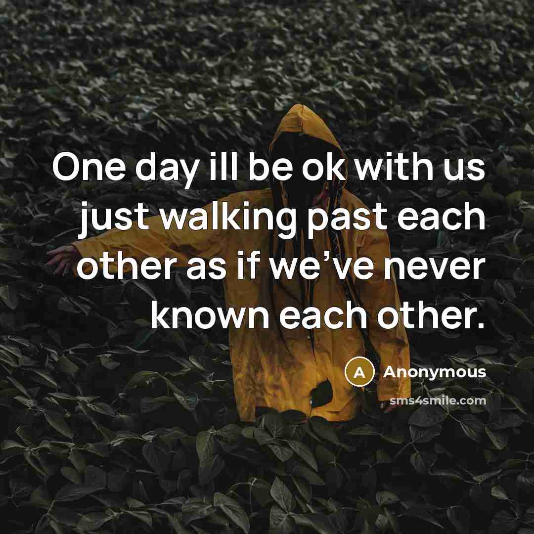 “One day ill be ok with us just walking past each other as if we've never known each other.” quote by Anonymous