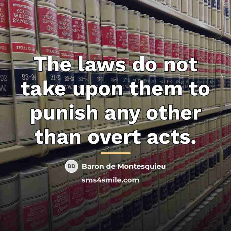 “The laws do not take upon them to punish any…” quote by Baron de Montesquieu