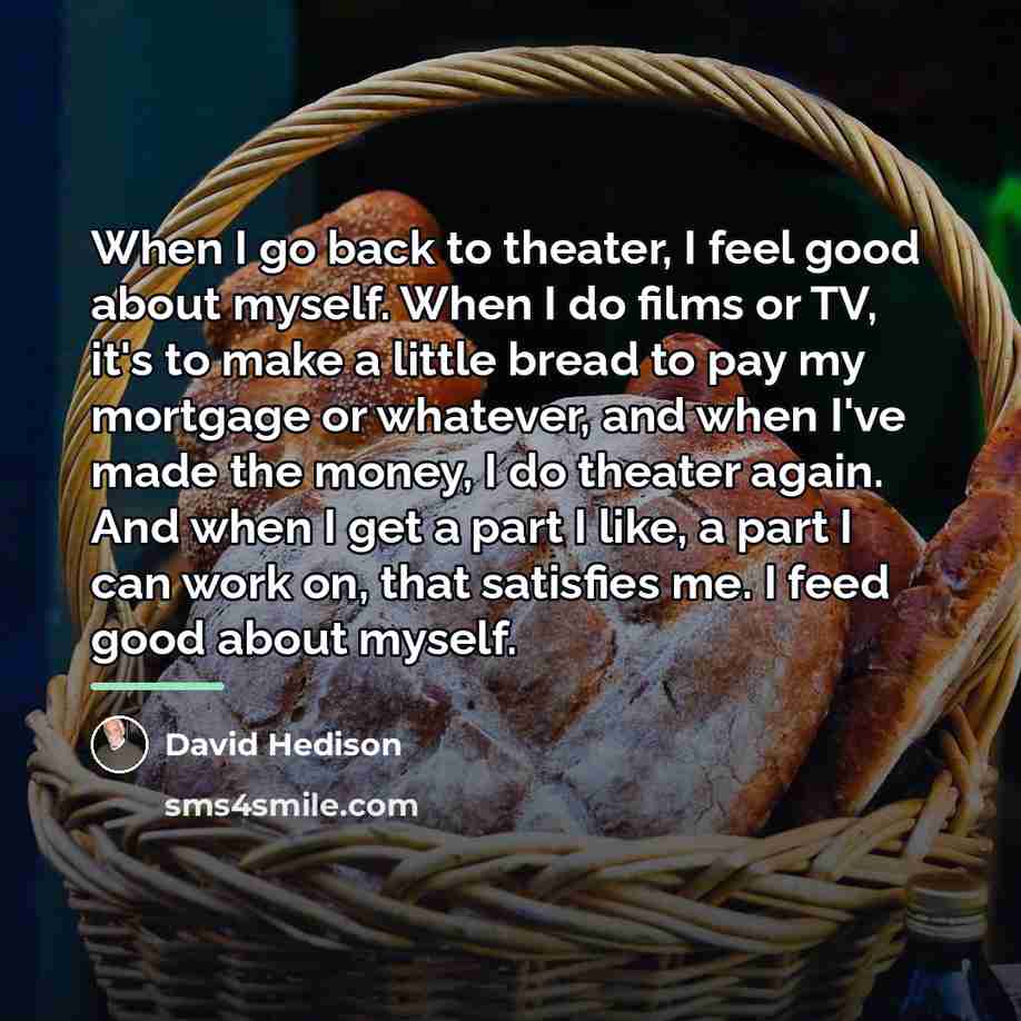“When I go back to theater, I feel good about…” quote by David Hedison