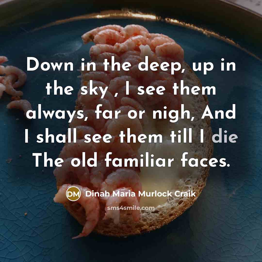 “Down in the deep, up in the sky , I see them always, far or nigh, And I shall see them till I die The old familiar faces.” quote by Dinah Maria Murlock Craik