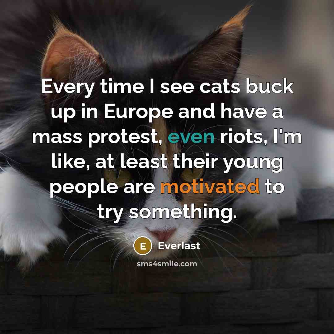 “Every time I see cats buck up in Europe and…” quote by Everlast