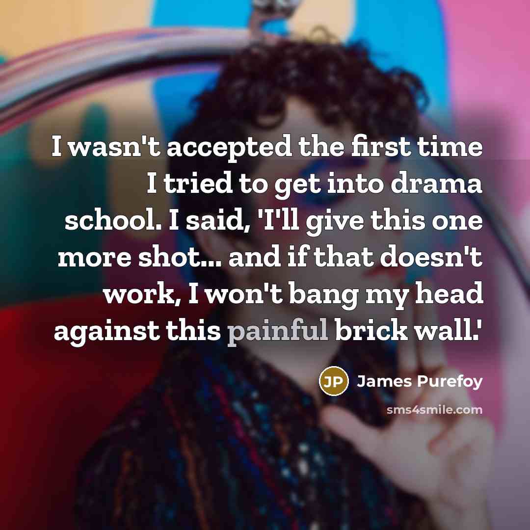 “I wasn't accepted the first time I tried to get into drama school. I said, 'I'll give this one more shot... and if that doesn't work, I won't bang my head against this painful brick wall.'” quote by James Purefoy