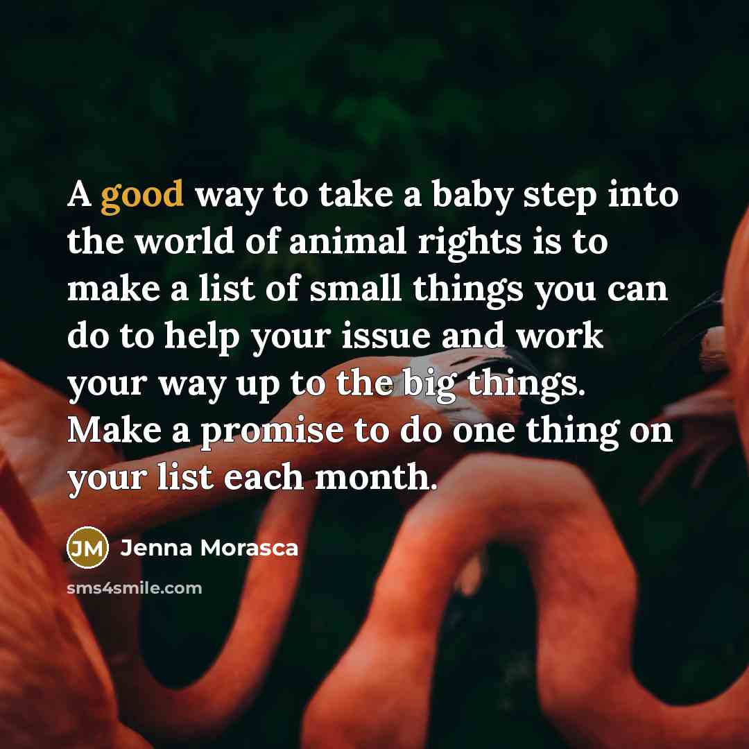 “A good way to take a baby step into the…” quote by Jenna Morasca