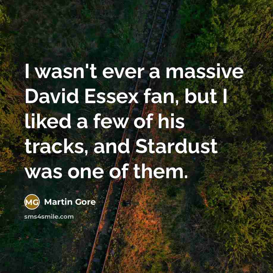 “I wasn't ever a massive David Essex fan, but I…” quote by Martin Gore