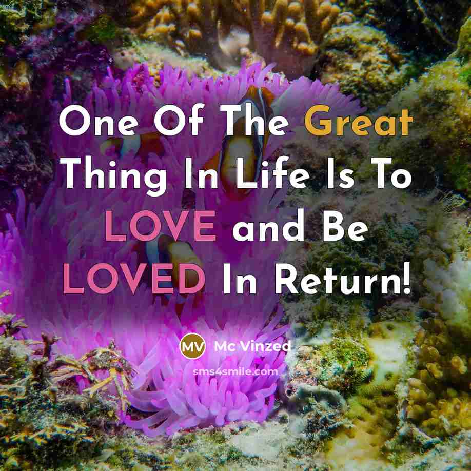 “One Of The Great Thing In Life Is To LOVE…” quote by Mc Vinzed