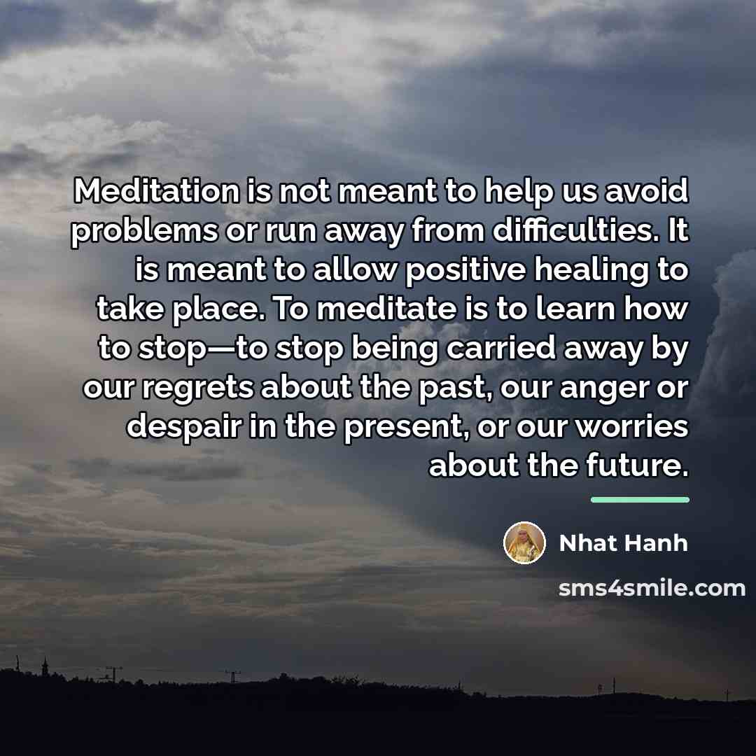 “Meditation is not meant to help us avoid problems or…” quote by Nhat Hanh