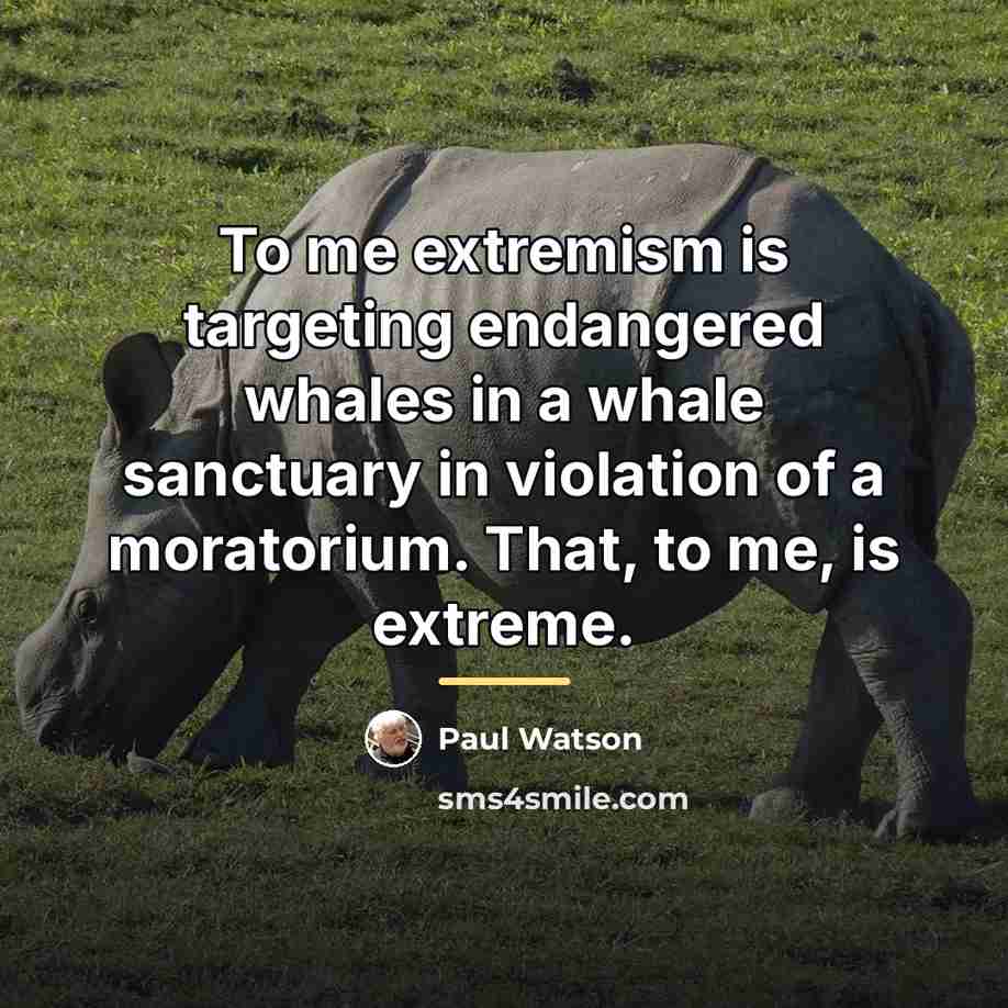 “To me extremism is targeting endangered whales in a whale…” quote by Paul Watson